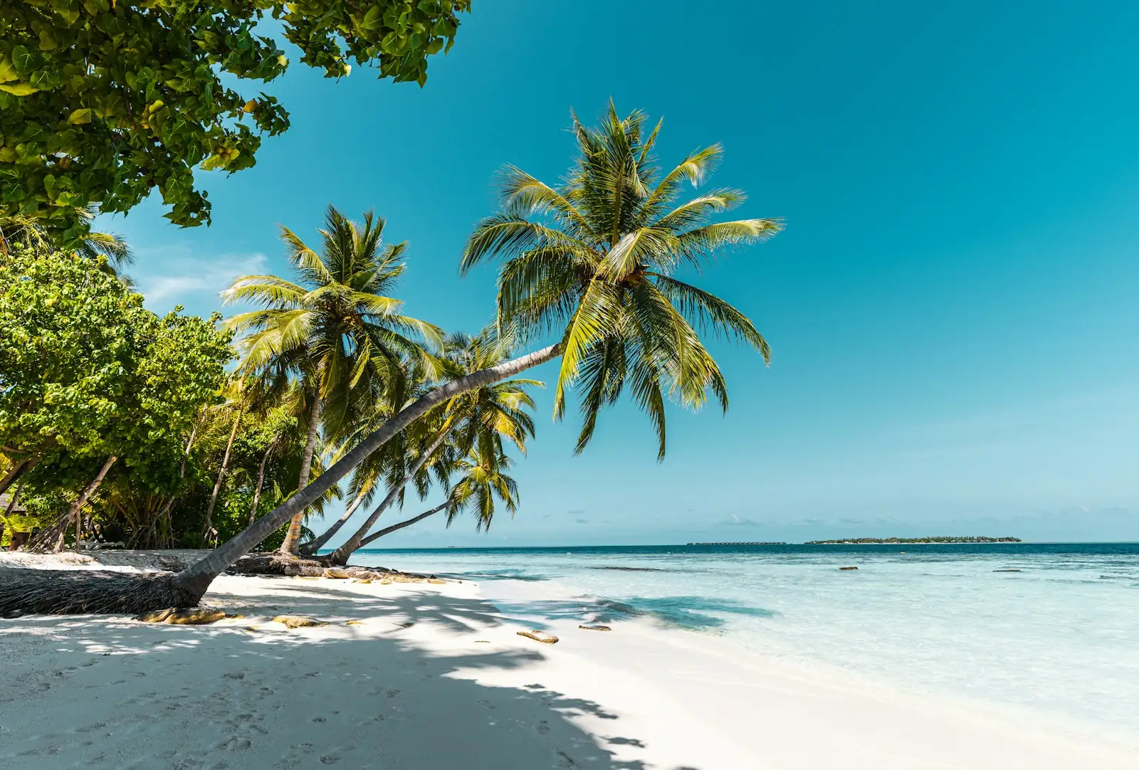 A tropical beach with clear water